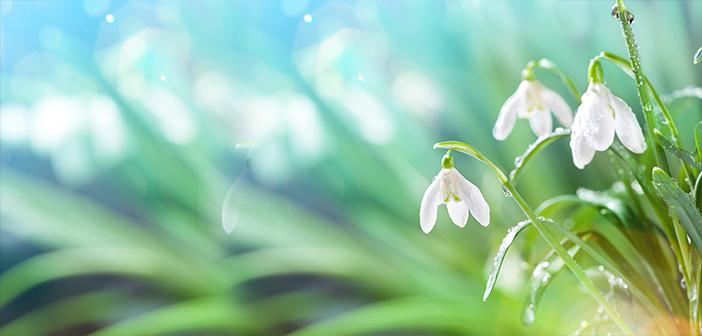 İslam’da Muhabbetin Önemi Nedir?
