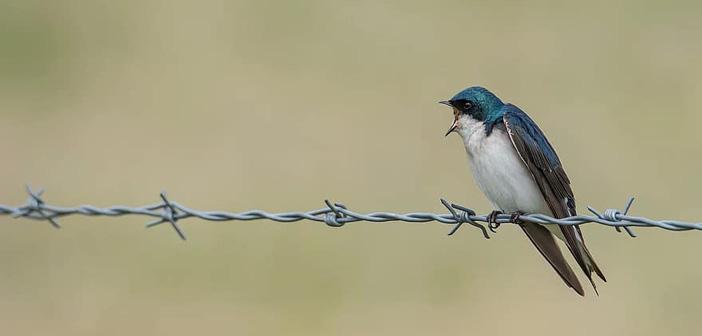 Kadere Neden Rıza Göstermeliyiz?